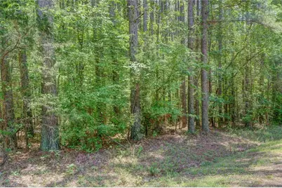 00 Garrett Road, Stoneville, NC 27048 - Photo 11