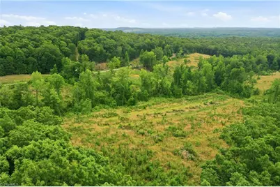 00 Cane Creek Road, Snow Camp, NC 27349 - Photo 15