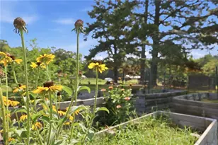 24654 Matton Grove Church Rd, Gold Hill, NC 28071 - Photo 13