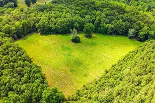 523 Round House Rd, Eden, NC 27288 - Photo 7