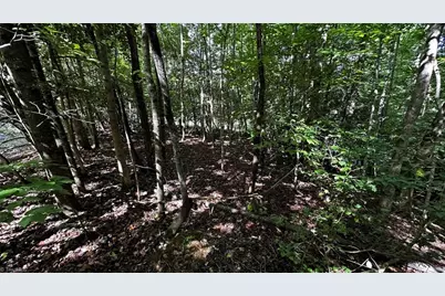 00A Higgins Road, Wilkesboro, NC 28697 - Photo 7