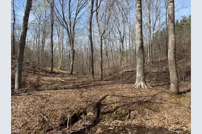 508 New Lebanon Church Road, Reidsville, NC 27320 - Photo 29
