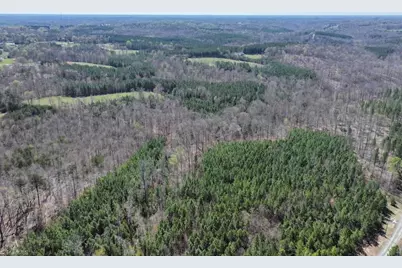 508 New Lebanon Church Road, Reidsville, NC 27320 - Photo 5
