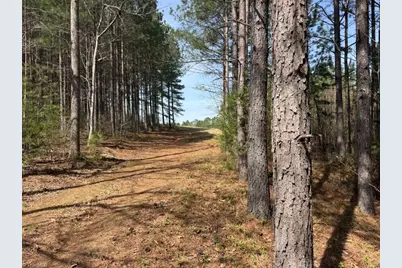 508 New Lebanon Church Road, Reidsville, NC 27320 - Photo 23