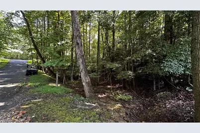 00C Higgins Road, Wilkesboro, NC 28697 - Photo 13