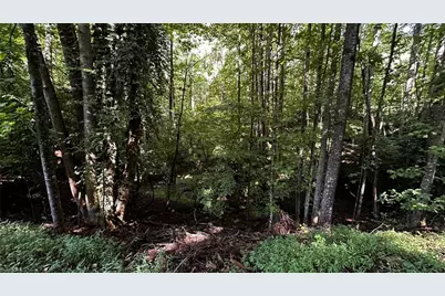 00C Higgins Road, Wilkesboro, NC 28697 - Photo 11