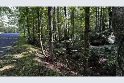 00C Higgins Road, Wilkesboro, NC 28697 - Photo 9