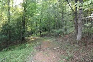2541 Collinstown Road, Westfield, NC 27053 - Photo 27