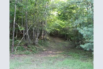2541 Collinstown Road, Westfield, NC 27053 - Photo 25