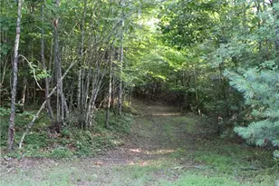 2541 Collinstown Road, Westfield, NC 27053 - Photo 25