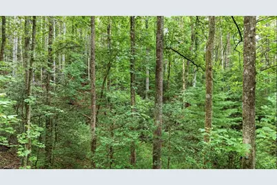 11526 US Highway 421, Purlear, NC 28665 - Photo 39