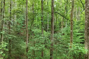 11526 US Hwy 421, Purlear, NC 28665 - Photo 39