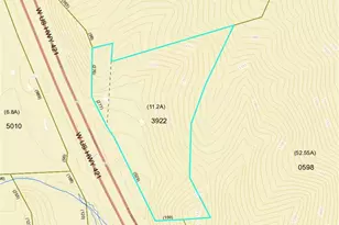 11526 US Hwy 421, Purlear, NC 28665 - Photo 45