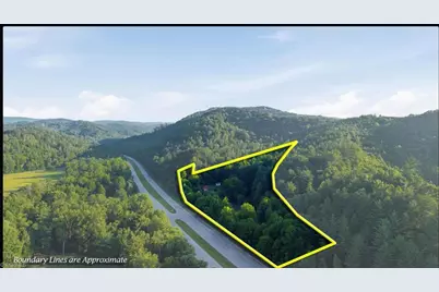 11526 US Highway 421, Purlear, NC 28665 - Photo 5