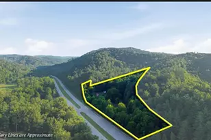 11526 US Hwy 421, Purlear, NC 28665 - Photo 5