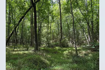 6725 US Highway 158, Stokesdale, NC 27357 - Photo 21