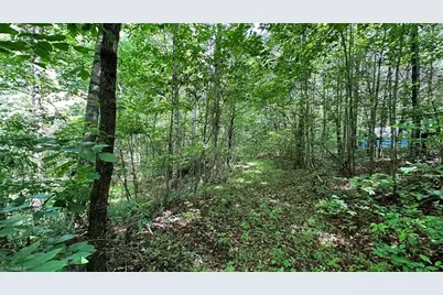 00C High Point Cove, Wilkesboro, NC 28697 - Photo 11