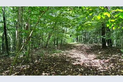 00C High Point Cove, Wilkesboro, NC 28697 - Photo 5
