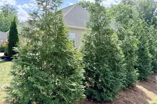 7154 Smokerise Ln, Kernersville, NC 27285 - Photo 15