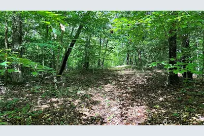 00D High Point Cove, Wilkesboro, NC 28697 - Photo 11