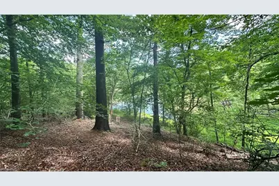 00D High Point Cove, Wilkesboro, NC 28697 - Photo 5