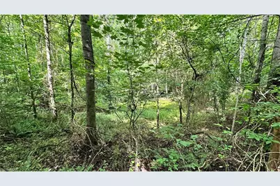 00E High Point Cove, Wilkesboro, NC 28697 - Photo 11
