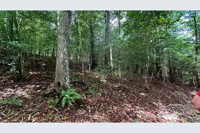 00E High Point Cove, Wilkesboro, NC 28697 - Photo 9