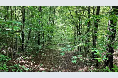 00E High Point Cove, Wilkesboro, NC 28697 - Photo 15
