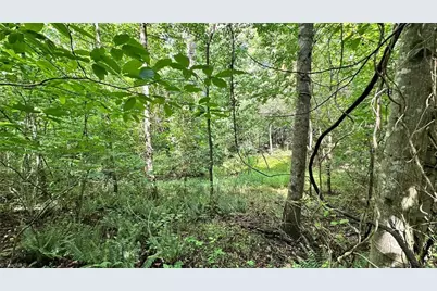 00E High Point Cove, Wilkesboro, NC 28697 - Photo 5