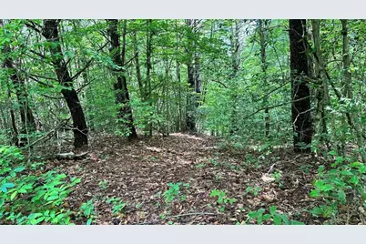00E High Point Cove, Wilkesboro, NC 28697 - Photo 13