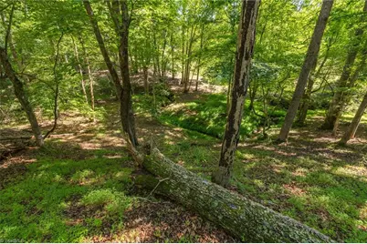 7289 Plunkett Road, Belews Creek, NC 27357 - Photo 17