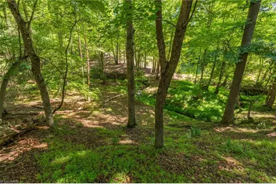 7289 Plunkett Road, Belews Creek, NC 27357 - Photo 5