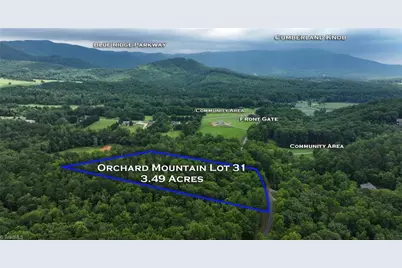 Tbd McIntosh Drive, Lowgap, NC 27024 - Photo 1