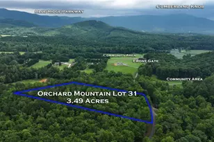 Tbd McIntosh Dr, Lowgap, NC 27024 - Photo 1