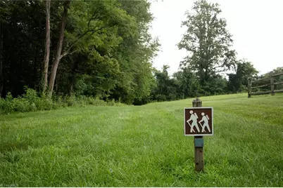 Tbd McIntosh Drive, Lowgap, NC 27024 - Photo 21