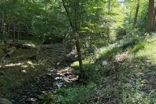 3308 Creekridge Country Rd, Randleman, NC 27317 - Photo 1