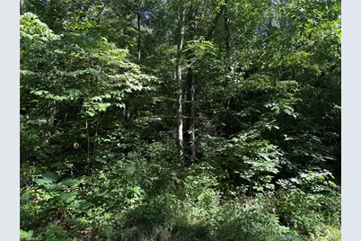 3032 Hauser Road, East Bend, NC 27018 - Photo 7