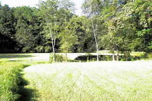 307 Valleygreen Trail, Pinnacle, NC 27043 - Photo 13