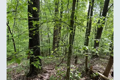 0 Sheets Trail, Germanton, NC 27019 - Photo 5