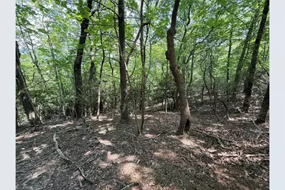 Lot 87 McIntosh Drive, Lowgap, NC 27024 - Photo 5
