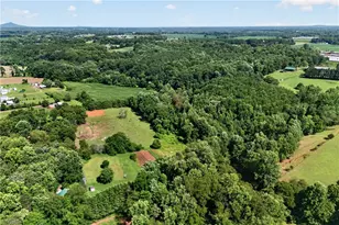 138 Eagle Valley Trail, Dobson, NC 27017 - Photo 37