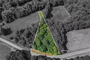 Lot 1 Henry Rd, Madison, NC 27025 - Photo 1