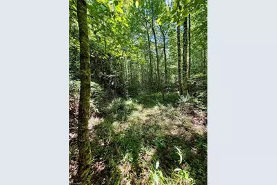 243 Hunter Ridge Lane, Ararat, NC 27007 - Photo 41