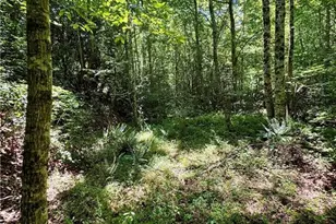 243 Hunter Ridge Ln, Ararat, NC 27007 - Photo 41