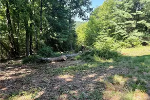 900 Smokey Mountain Trail, North Wilkesboro, NC 28659 - Photo 17