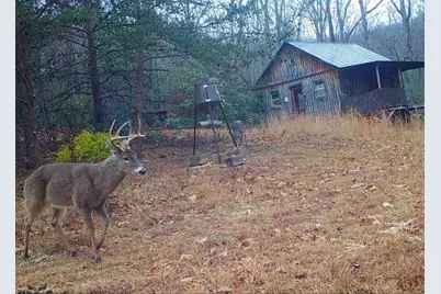 900 Smokey Mtn Trail, North Wilkesboro, NC 28659 - Photo 37