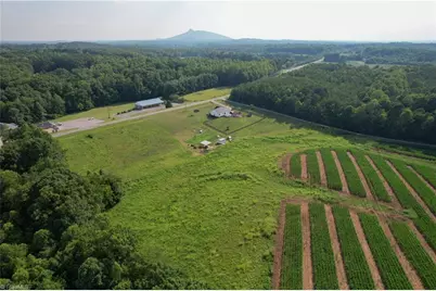 1004 Tilley Farm Road, Pinnacle, NC 27043 - Photo 9