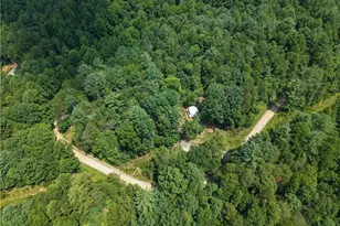 1005 Brewer Mill Road Ext, Traphill, NC 28685 - Photo 19