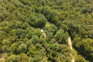 1005 Brewer Mill Road Ext, Traphill, NC 28685 - Photo 21
