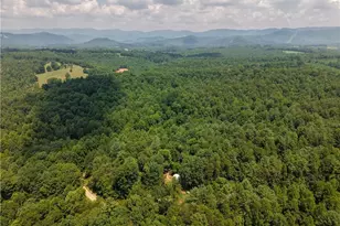 1005 Brewer Mill Road Ext, Traphill, NC 28685 - Photo 23